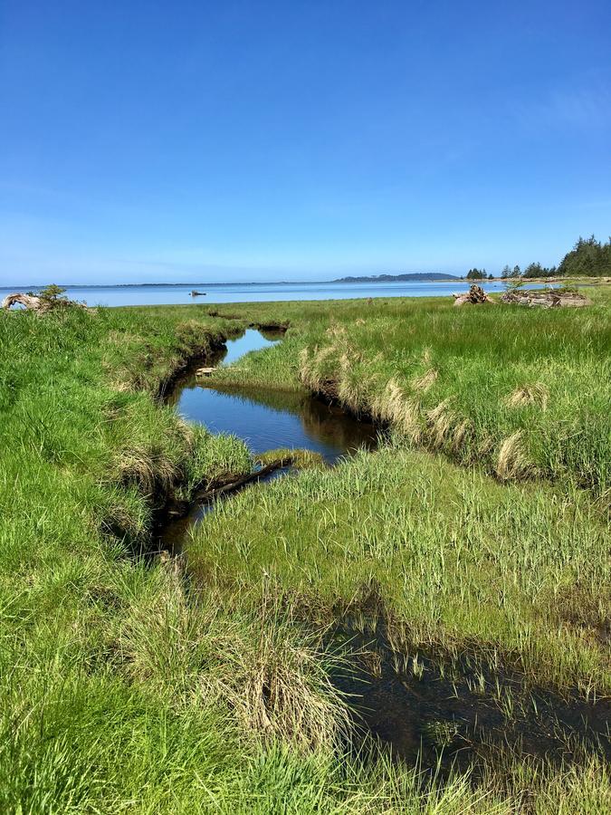 Tillamook Bay City Rv Park Exteriör bild